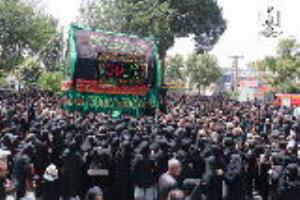 گزارش تصویری آیین نخل گردانی در خمین